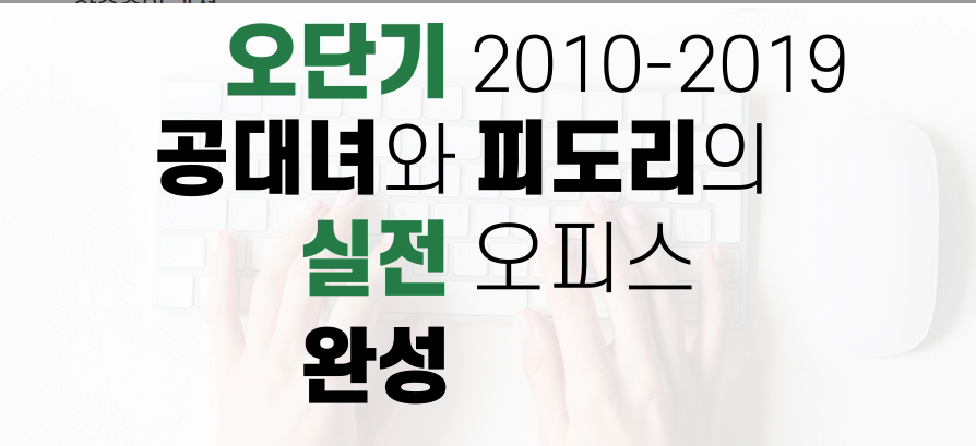 [오단기 2010~2019] 공대녀와 피도리의 실전 오피스 완성